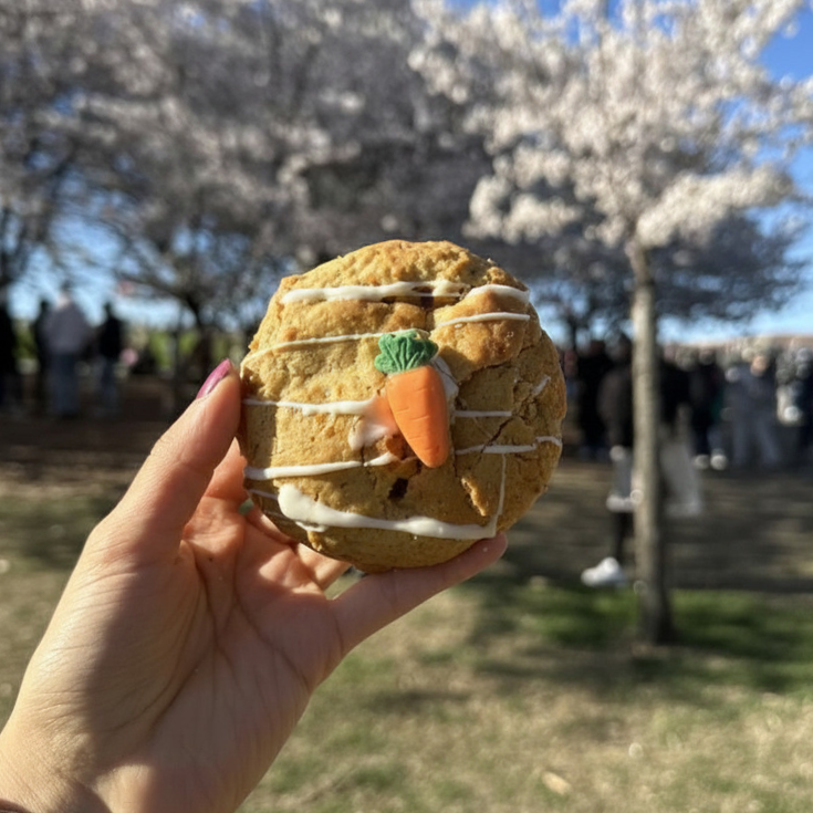 Easter Special - Carrot Cake Cheesecake (walnuts & creamy filling) 🐣🥕